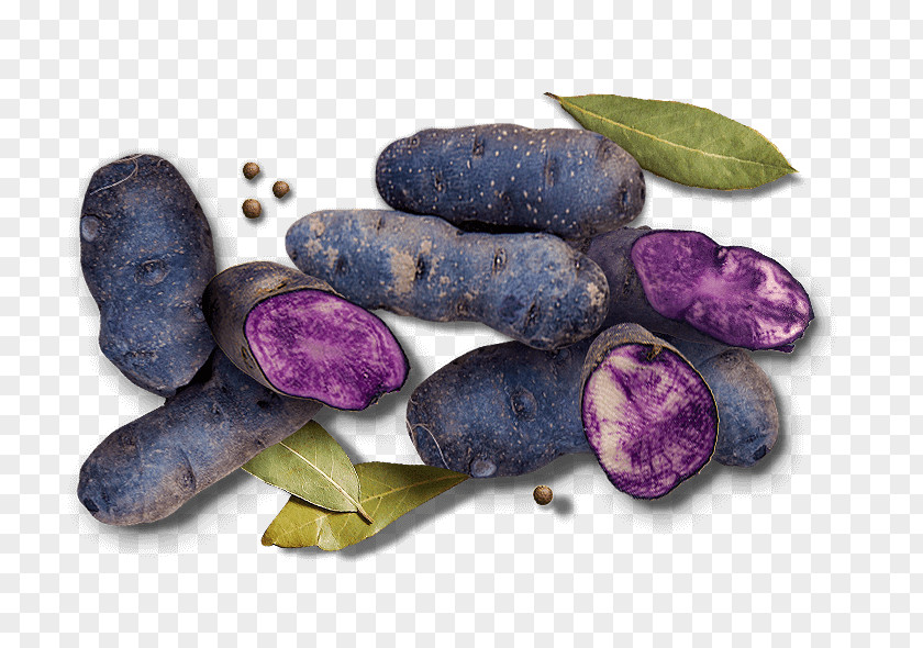 Potato Yam Tuber Superfood Blueberry PNG