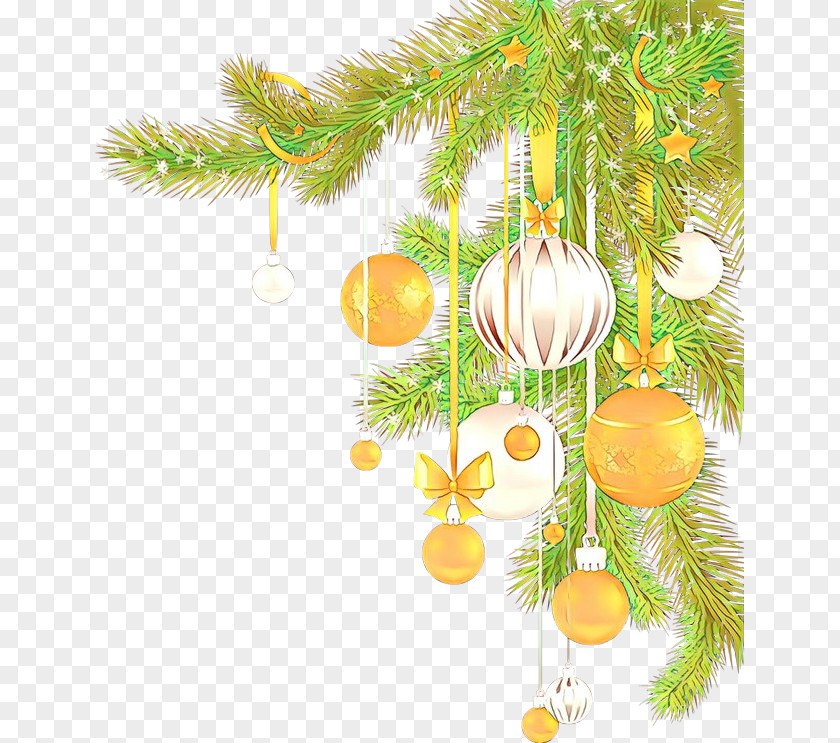 Spruce Plant Christmas Tree PNG