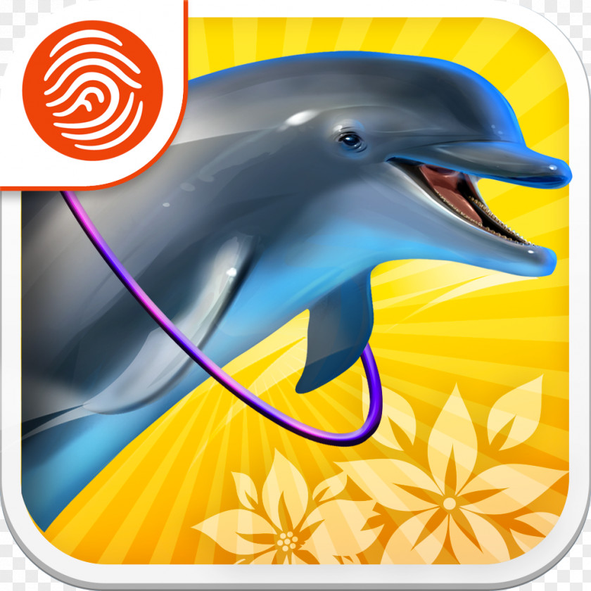 Dolphin Cartoon Common Bottlenose Tucuxi Wholphin Paradise PNG