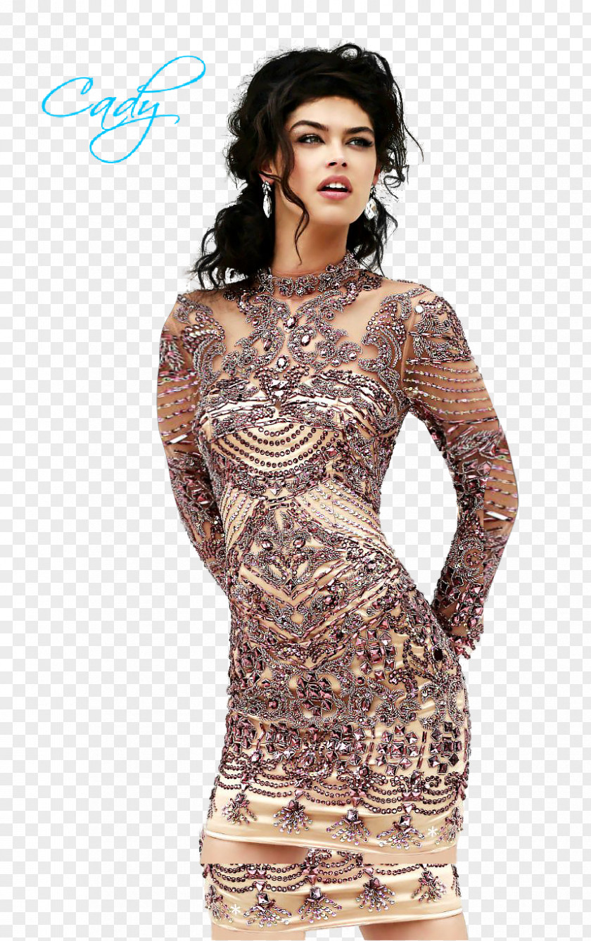 Dress Fashion PNG