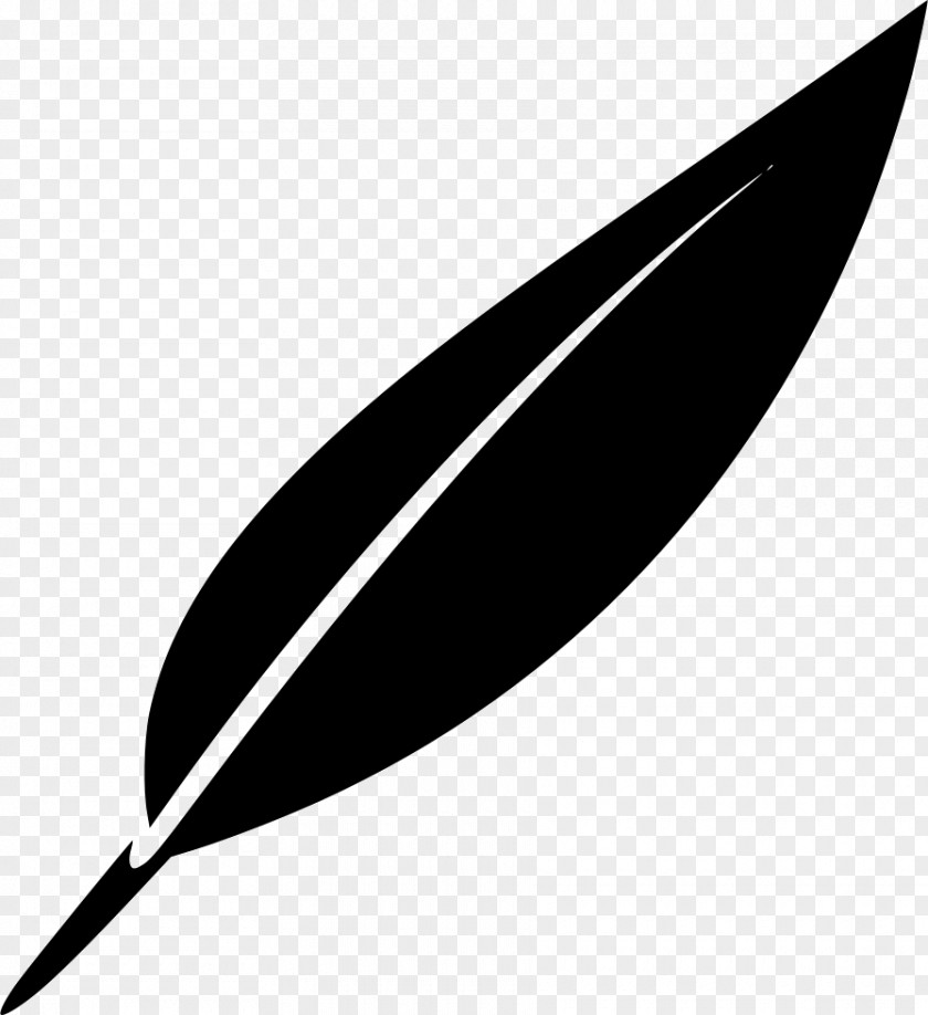 Feather Pen Quill PNG