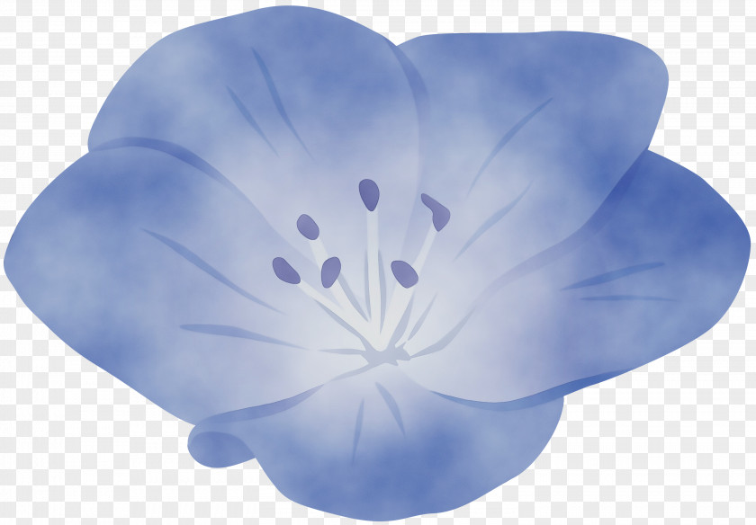 Petal Blue Leaf Flower Plant PNG