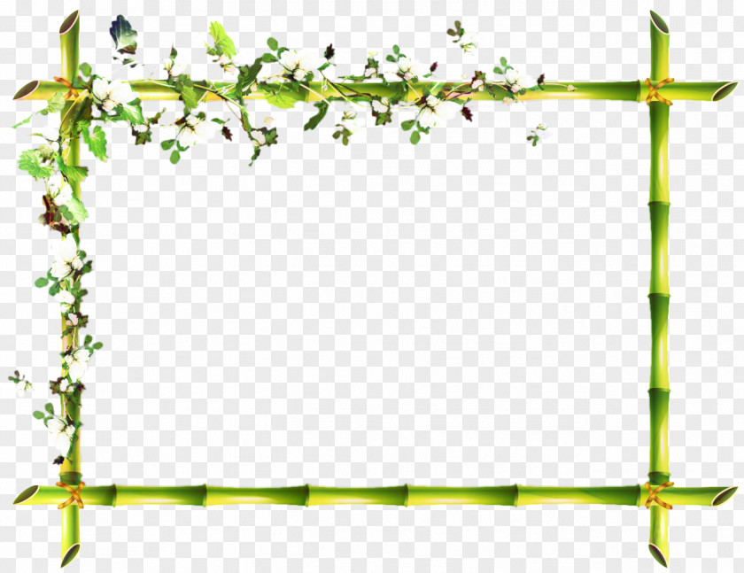 Plant Plants Picture Cartoon PNG