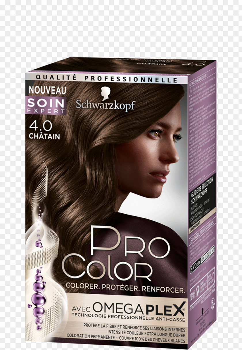 Spray Color Hair Coloring Schwarzkopf Black Human PNG