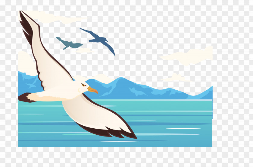 The Flying Crane Flight Bird Sky Wing Clip Art PNG