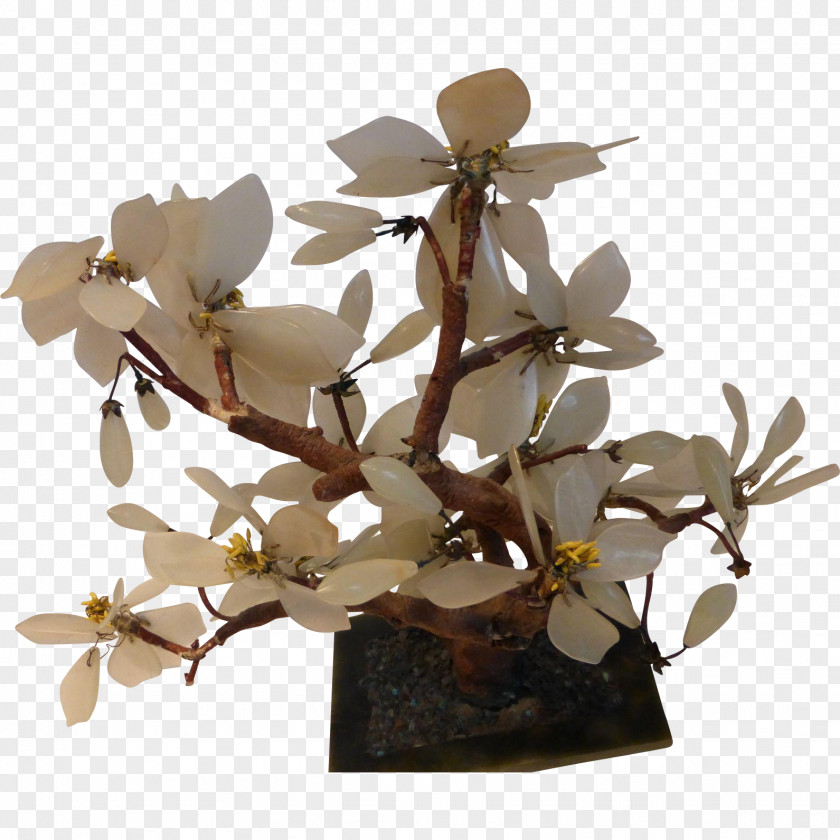 Tree Jade Plant Branch Twig PNG