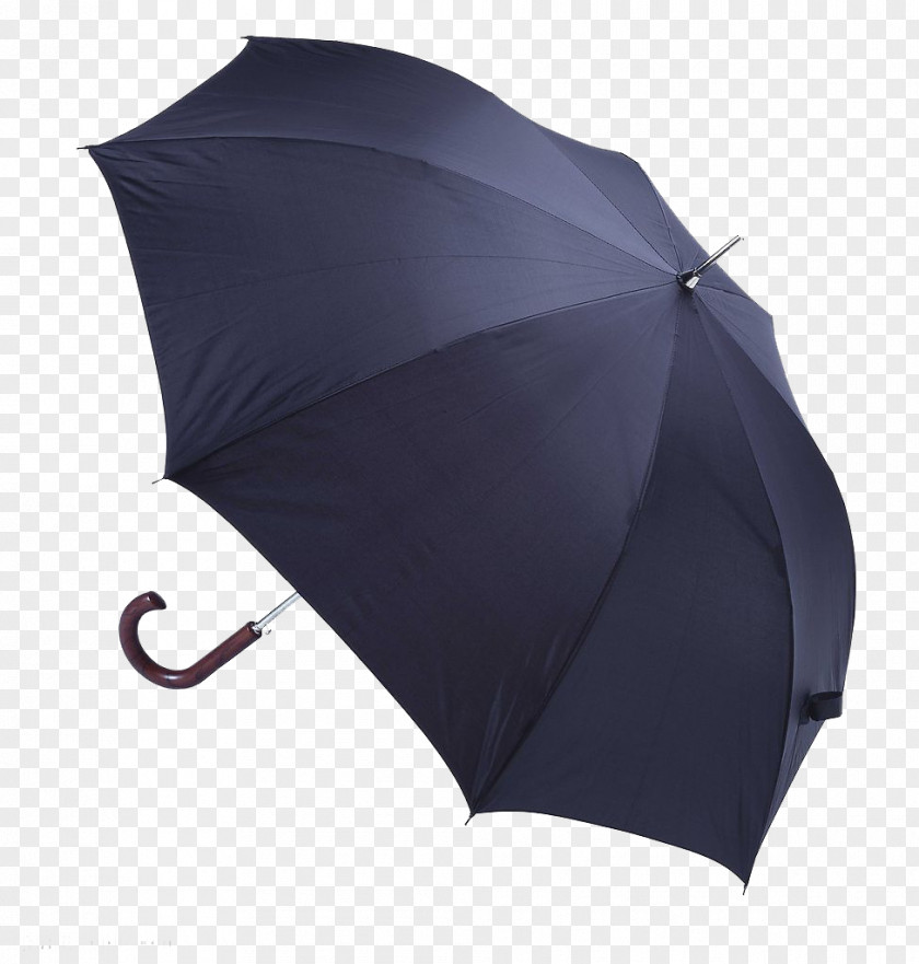 Umbrella Rain Gear Zhejiang Material Cardisoma Carnifex Quxe2n Su1ef1 PNG