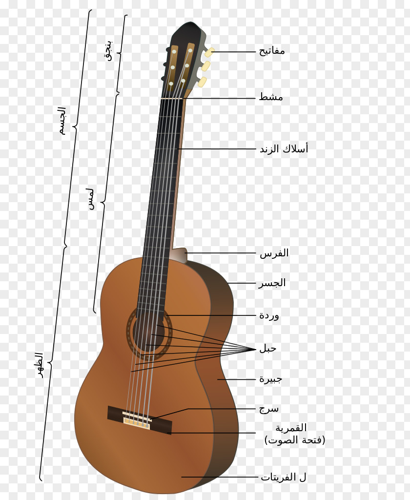 Acoustic Guitar Electric String Classical PNG