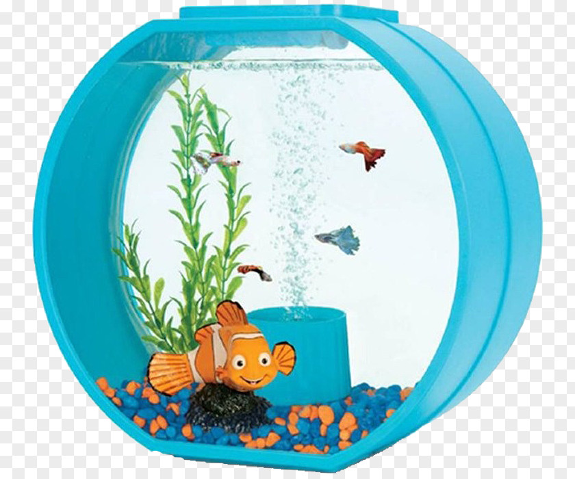 Fish Tank Ariel Triol Aquarium Yunizoo The Walt Disney Company PNG