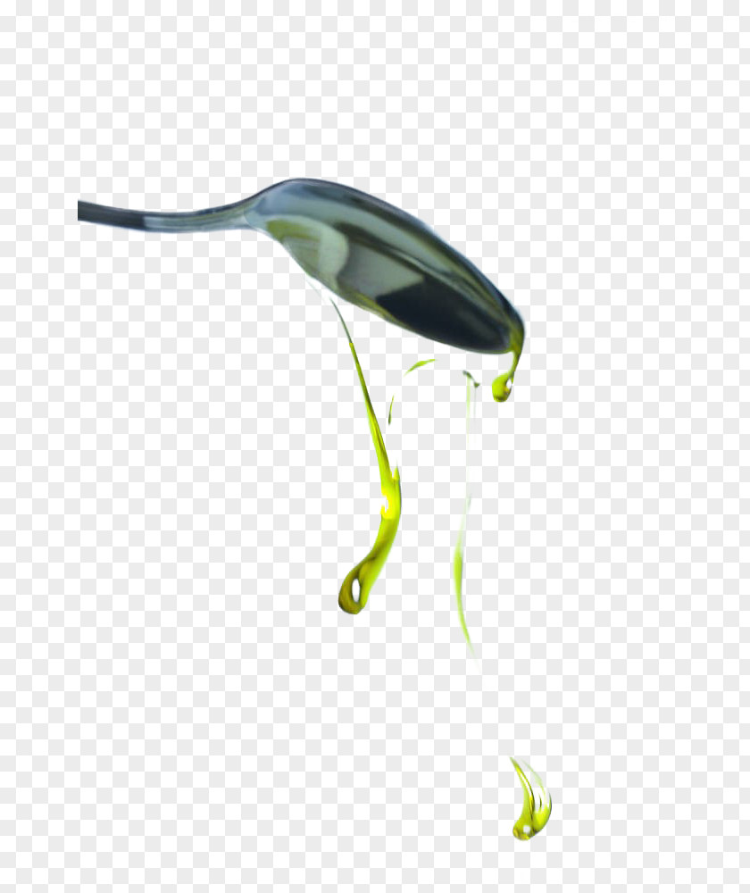 Olive Oil Cooking PNG