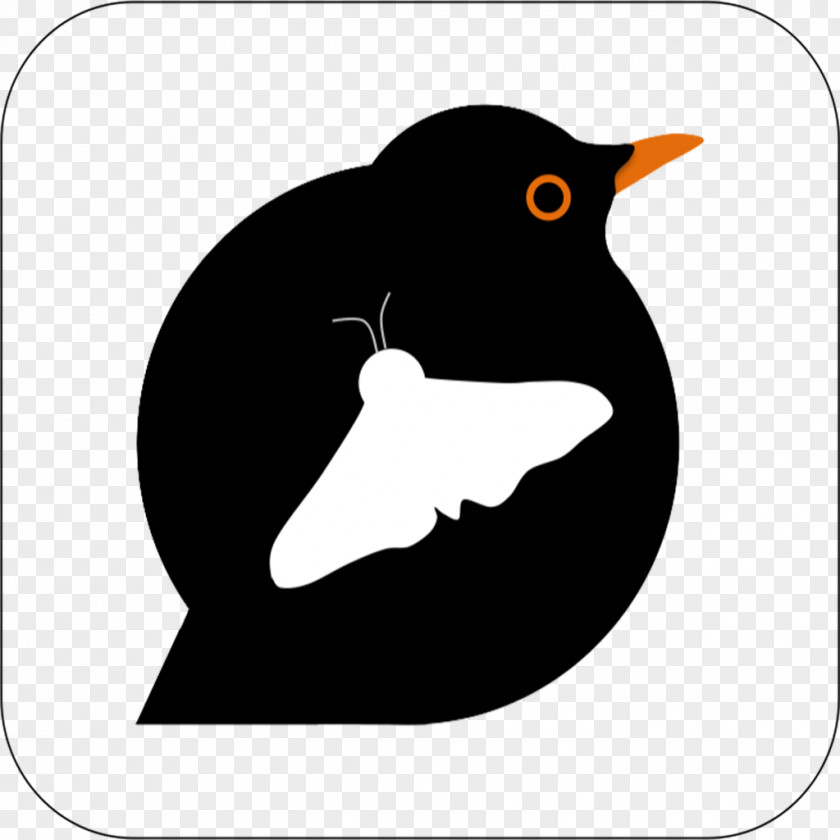 Penguin Bird App Store Beak Finches PNG