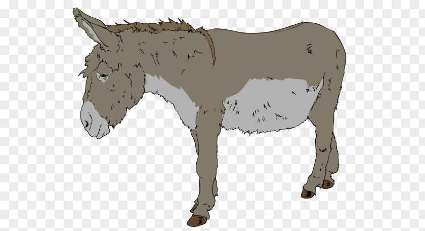 Wikipedia Page Cliparts Benjamin Donkey Free Content Clip Art PNG