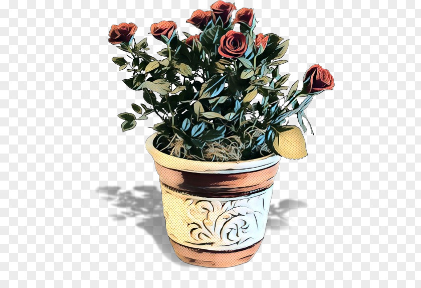 Anthurium Rose PNG