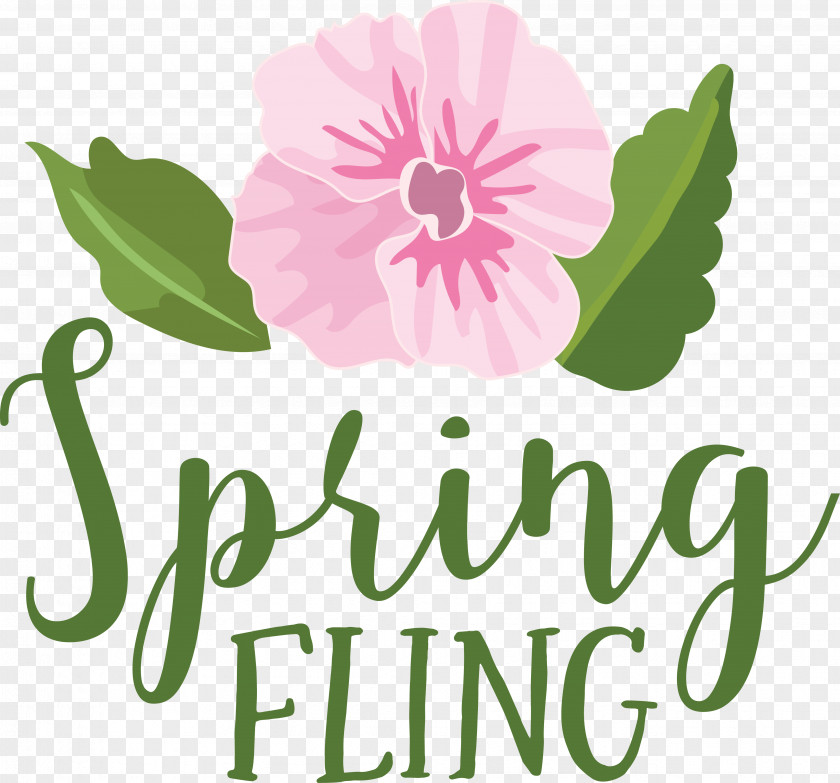 Floral Design PNG