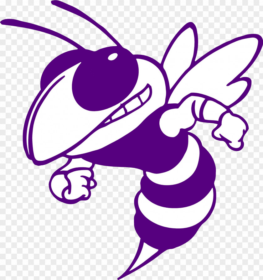 Georgia Institute Of Technology Tech Yellow Jackets Football Edcouch-Elsa High School NCAA Division I Bowl Subdivision Yellowjacket PNG