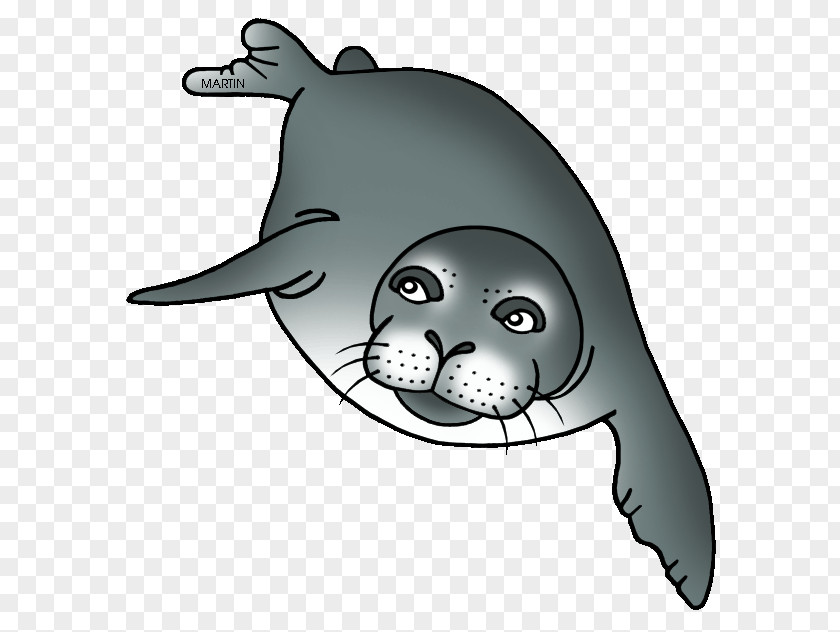 Harbor Seal Hawaiian Monk Clip Art PNG