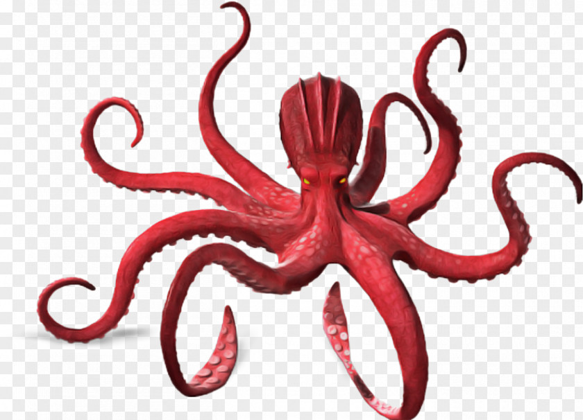 Animal Figure Giant Pacific Octopus Cartoon PNG