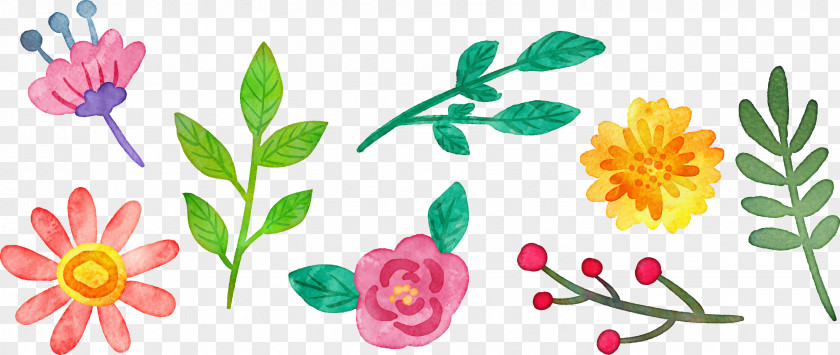 Cartoon Watercolor Floral Decoration Design Flower Painting PNG