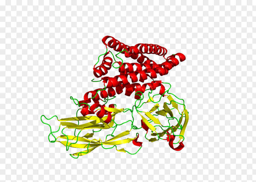 Genetically Modified Food Controversies Cry1Ac Organism Bacteria PNG