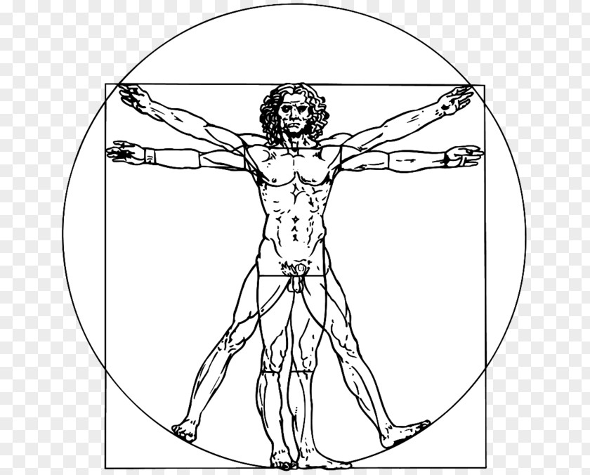 Leonardo Davinci Vitruvian Man Renaissance Vector Graphics Clip Art Royalty-free PNG
