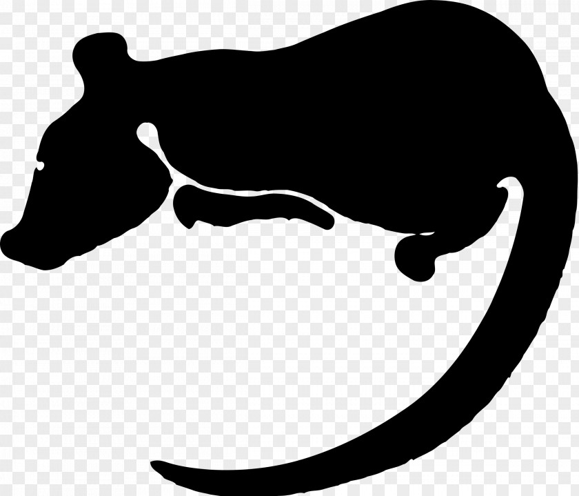 Rat & Mouse Laboratory Chinese Zodiac Clip Art PNG