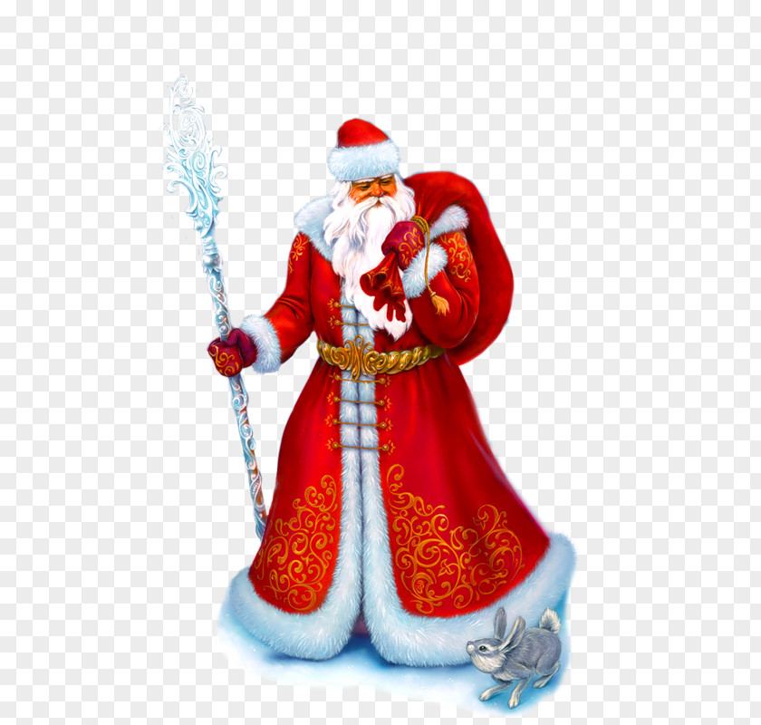 Santa Claus Ded Moroz Snegurochka Ziuzia Grandfather PNG