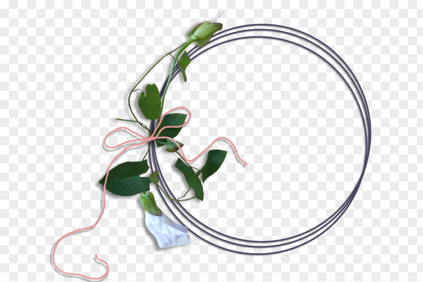 Transparent Flower Image Creativity Design Vector Graphics PNG