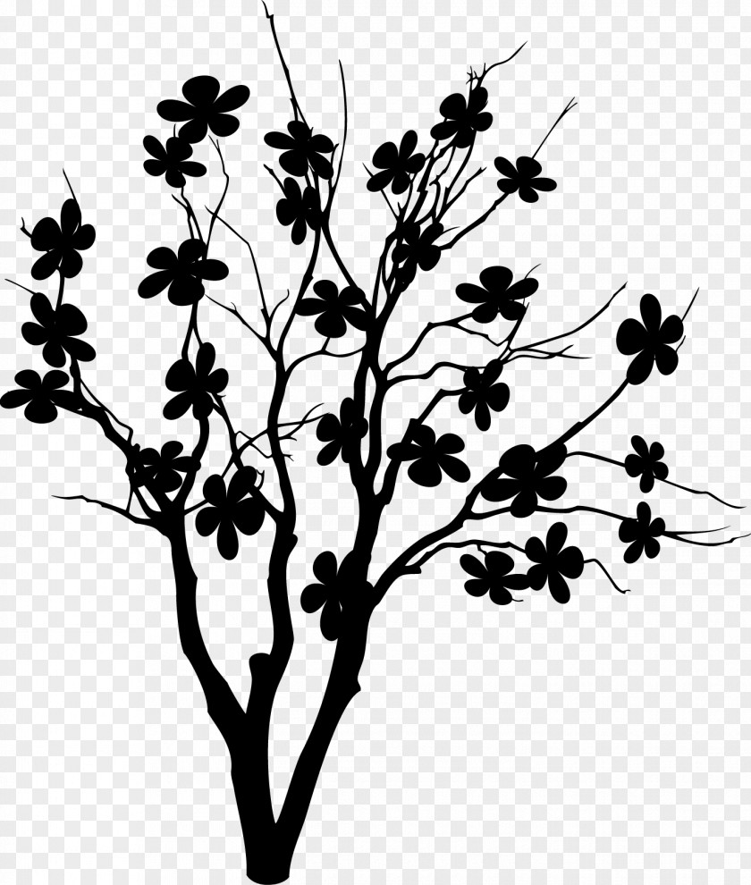 Twig Plant Stem Flower Leaf Line PNG