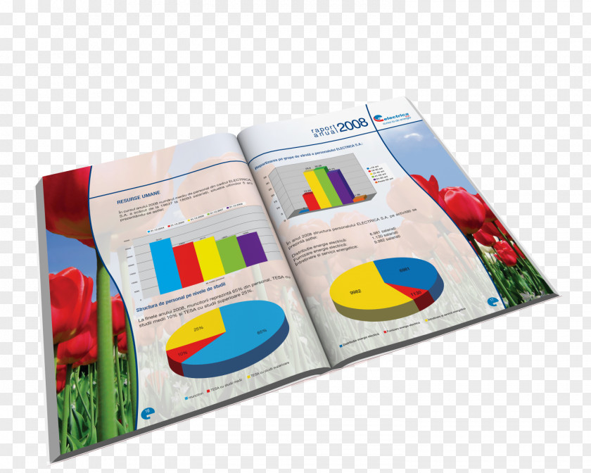 Annual Reports Plastic Brand PNG