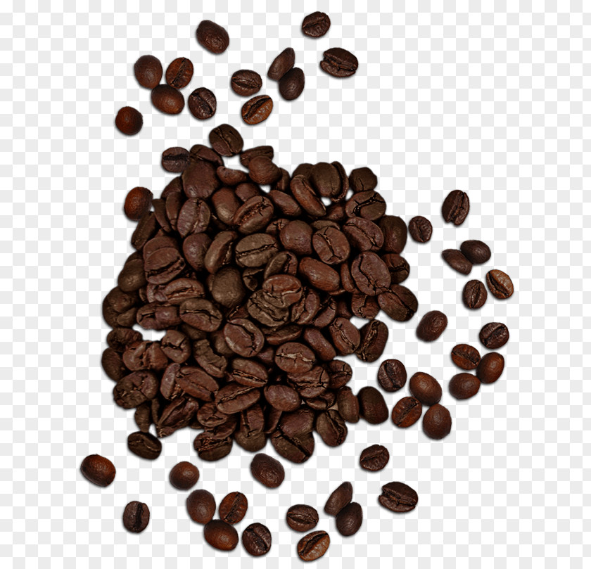 Coffee Beans Cup Cappuccino Tea Cafe PNG
