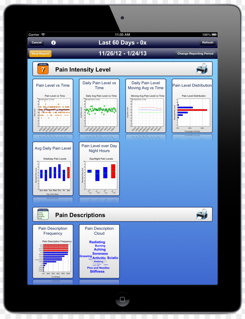 Computer Program Chronic Pain Beta Tester Handheld Devices Online Advertising PNG program pain tester advertising, report summary clipart PNG