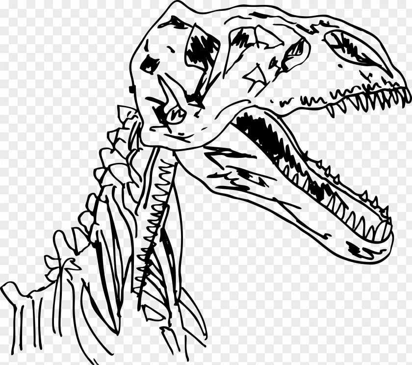 Dinosaur Velociraptor Fossils Clip Art PNG