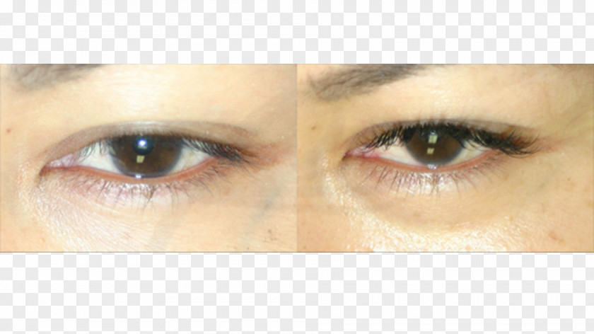 Eyelash Extensions Eye Shadow Mascara Liner Eyebrow PNG