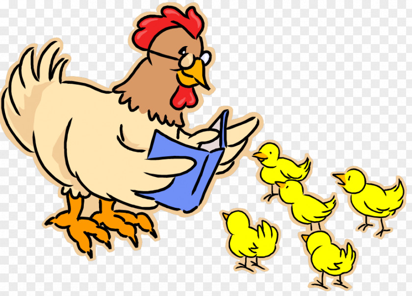 Pre School Pictures Chicken Hen And Chicks Clip Art PNG