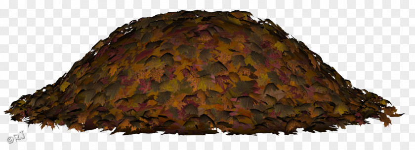 Tree Autumn Leaf Color PNG
