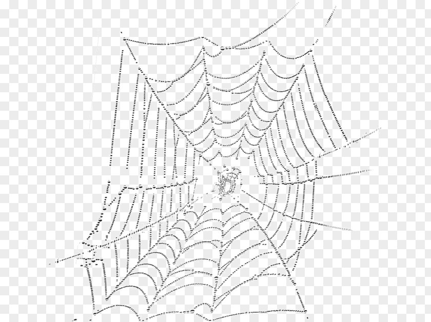 Black And White Spider Web Drawing Silk PNG
