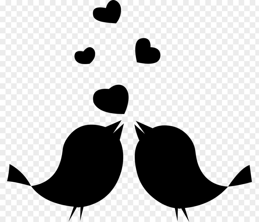 Clip Art Lovebird Parrot PNG