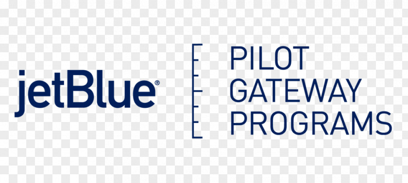 JetBlue Airline Ticket Flight 0506147919 PNG