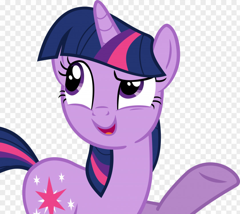Sparkle Twilight Pony Rarity Spike Rainbow Dash PNG