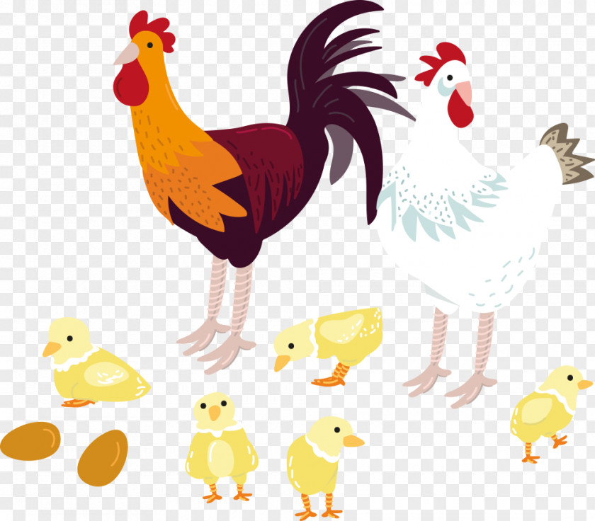 Vector Rooster And Chick Chicken PNG
