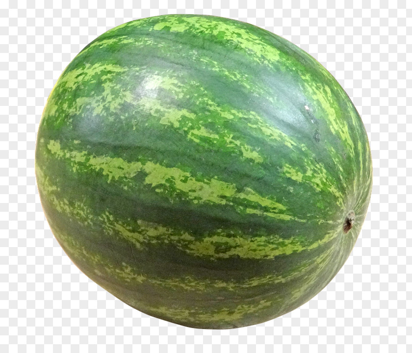 Watermelon Fruit Vegetable PNG