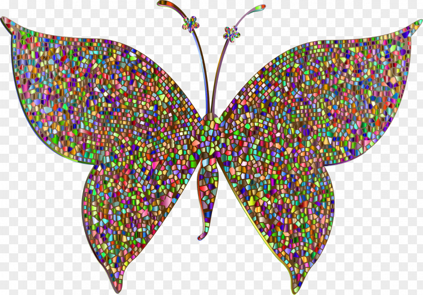 Butterfly Insect Moth Color Clip Art PNG