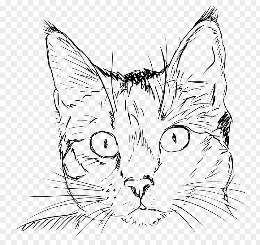 Cat Kitten Drawing Clip Art PNG