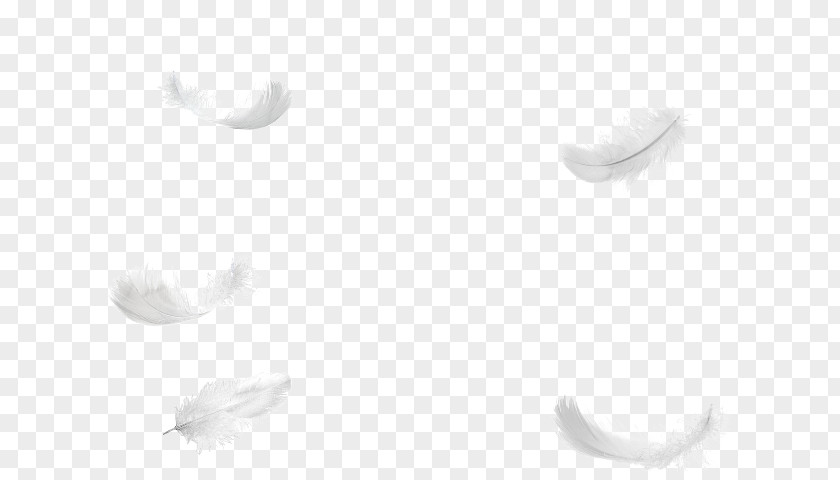 Feather Light White Tree PNG