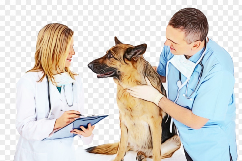 Medical Equipment Ear Dog German Shepherd Breed Veterinarian Assistant PNG