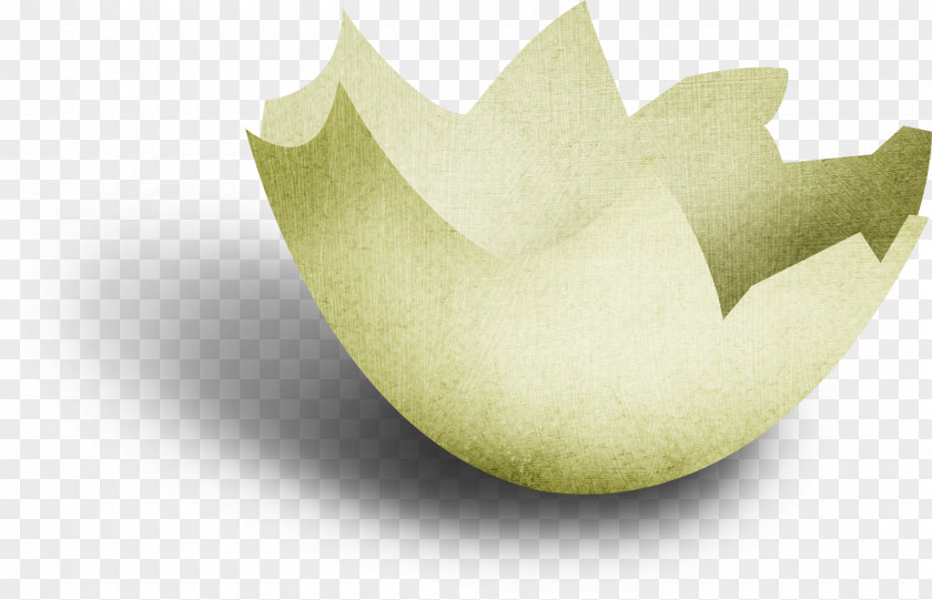 Muskmelon Tree Fruit PNG