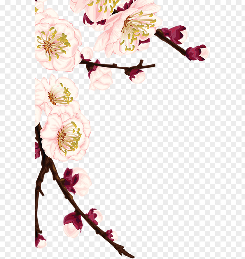 Plum Decorative Material Blossom PNG
