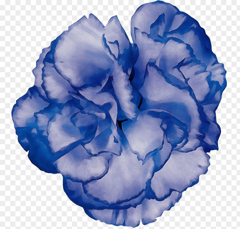 Blue Rose PNG