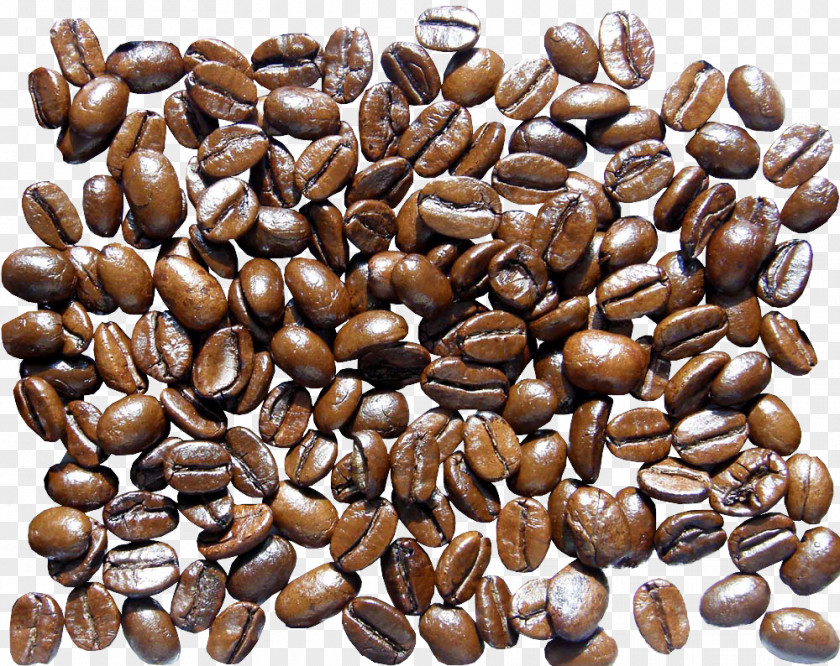 Coffee Beans Jamaican Blue Mountain Bean Starbucks PNG