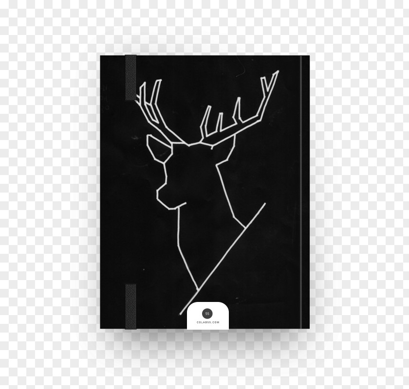 Deer Antler Canvas Print PNG